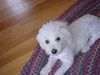 DSC00015.jpg