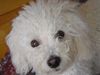 DSC00017.jpg