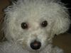 DSC00731.jpg