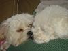 DSC01123.jpg