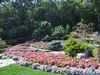 DSCF0789.jpg