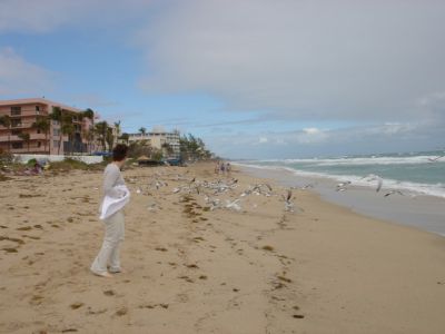 Image00019.jpg
