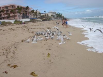 Image00020.jpg