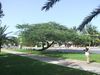 Filename=Image00023.jpg
Filesize=108KiB
Dimensions=640x480
Date added=Mar 11, 2018 Image00023.jpg