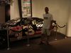 DSC01261.jpg