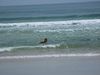 Filename=DSCF0221.jpg
Filesize=72KiB
Dimensions=640x480
Date added=Mar 11, 2018 DSCF0221.jpg