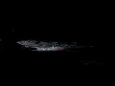20120209_223320.jpg