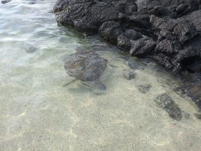 20120212_164522.jpg