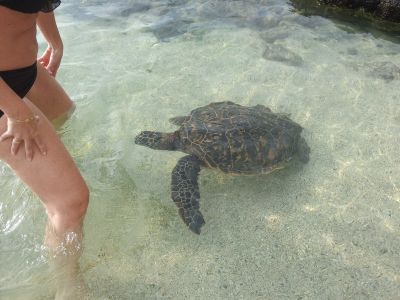 20120212_164540.jpg