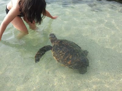 20120212_164549.jpg
