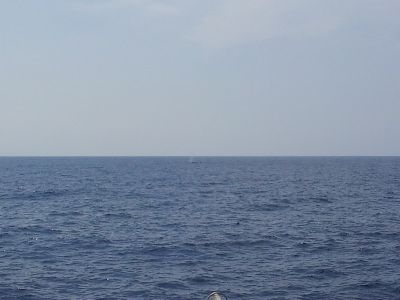 20120216_112015.jpg