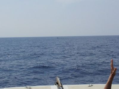 20120216_112020.jpg