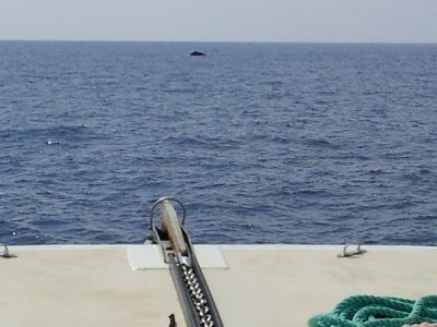 20120216_112029.jpg