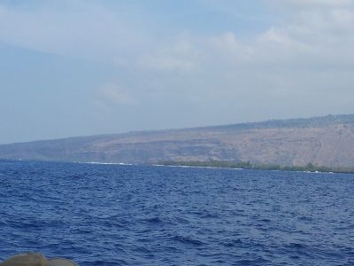 20120216_113200.jpg
