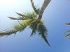 20120214_100845.jpg