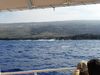 20120216_094843.jpg