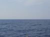 20120216_112015.jpg