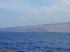 20120216_113200.jpg