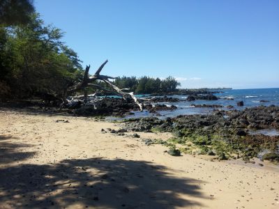 20130212_112249.jpg