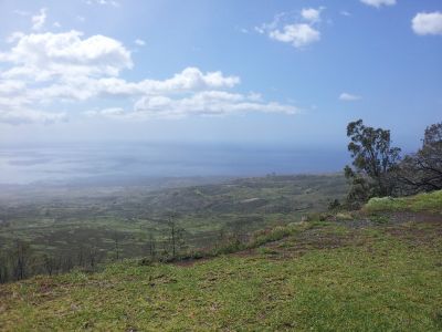 20130218_135833.jpg