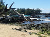 20130212_112259.jpg