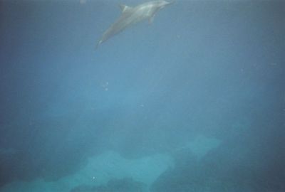 705396-R1-18-17A.jpg