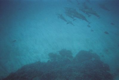 705396-R1-22-21A.jpg