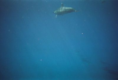 705396-R1-23-22A.jpg