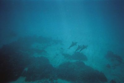 705396-R1-24-23A.jpg