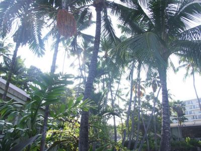 DSCF1751.jpg