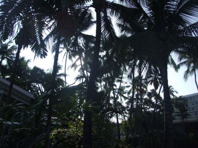 DSCF1752.jpg