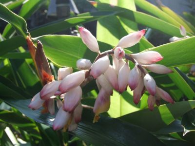 DSCF1764.jpg