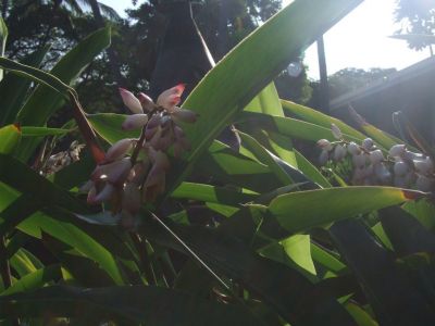 DSCF1765.jpg
