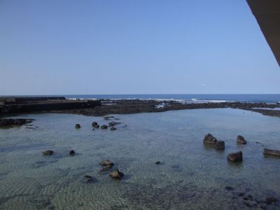 DSCF1767.jpg