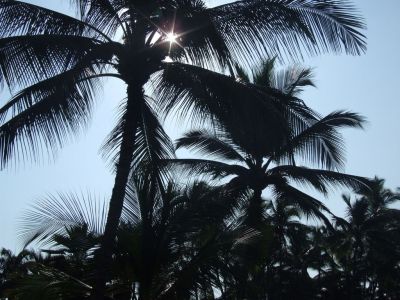 DSCF1768.jpg