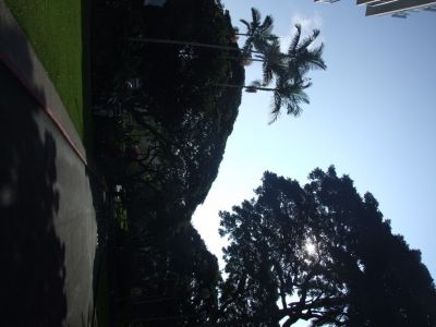 DSCF1775.jpg