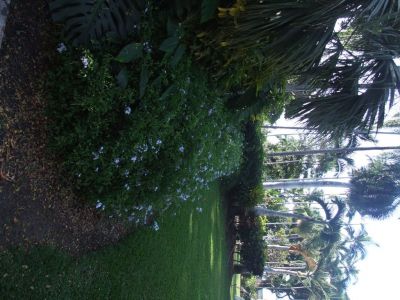 DSCF1778.jpg