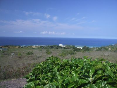DSCF1780.jpg