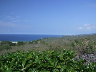 DSCF1782.jpg