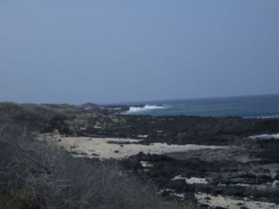 DSCF1787.jpg