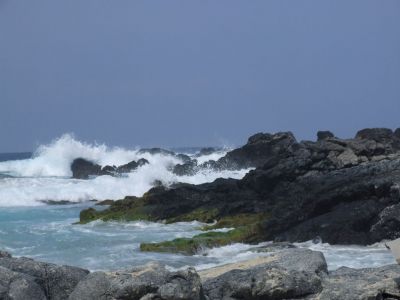 DSCF1789.jpg