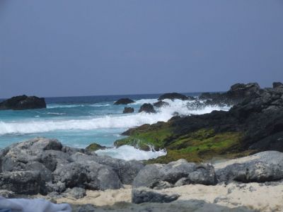 DSCF1790.jpg