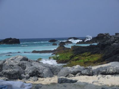 DSCF1791.jpg