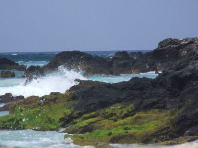 DSCF1793.jpg