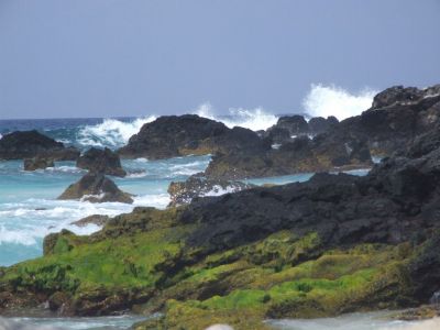DSCF1794.jpg