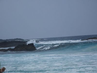 DSCF1802.jpg