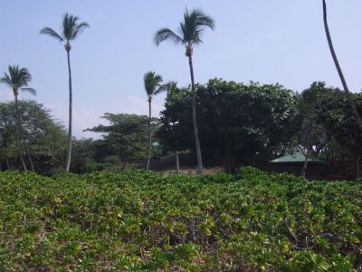 DSCF1807.jpg