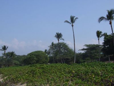 DSCF1810.jpg