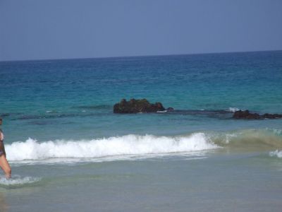 DSCF1812.jpg