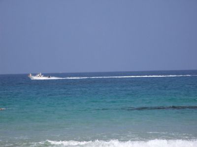 DSCF1813.jpg